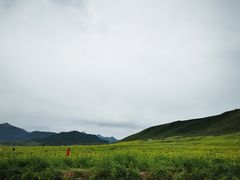 -扁都口生态休闲旅游区