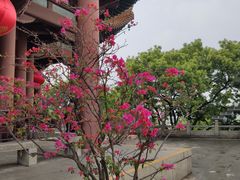 -黄鹤楼