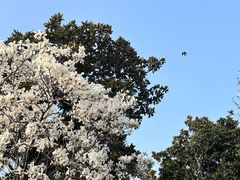 -不晚酒店(苏州观前平江路店)