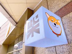 -柴务处·柴犬主题狗咖