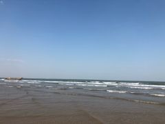-日照海滨国家森林公园