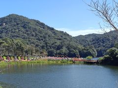 -广州市石门国家森林公园