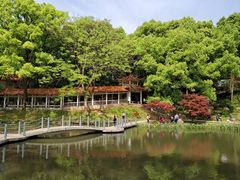 景点-湖南烈士公园(芙蓉区)