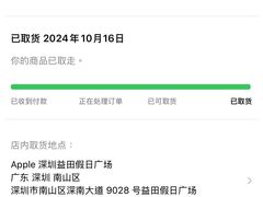 -Apple零售店(深圳益田假日广场店)