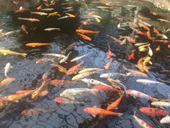 龙达温泉生态城-龙达温泉生态城