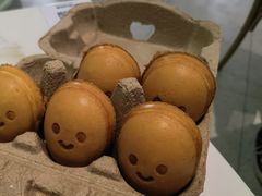 -靓蛙馆