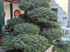 -和风景里酒店(护国寺店)