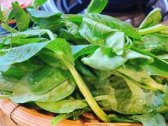 豌豆尖-阿婆情腊排骨火锅(金虹路店)