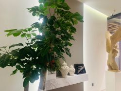 -LB·海菲秀牛奶光官方体验中心