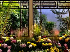 -杭州植物园