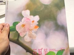 -花城苑广府菜(侨鑫店)