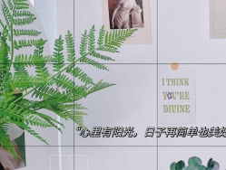 -JONMAVIN·美学