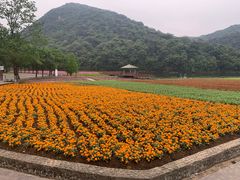 -广州市石门国家森林公园