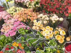 -宝鸡东道花鸟鱼虫市场(吉利花园商场店)