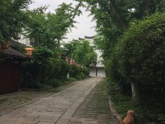 -蟹榭·本帮江浙菜·蟹宴(五角场合生汇商场店)