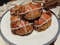 -杨氏青龙虾·吃蟹季(金盛路总店)