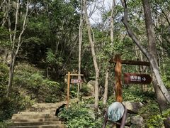 -大岭沟猕猴桃谷风景区