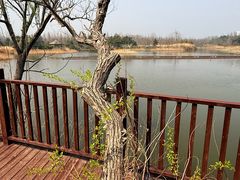 -日照海滨国家森林公园