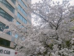 -玛格萝妮比萨屋(四平店)