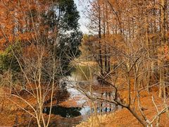 -梁鸿国家湿地公园