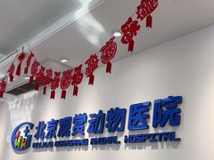 -北京观赏动物医院·24小时大型综合·猫专科·异宠专科
