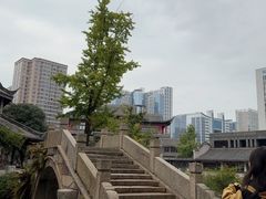 -龙潭水乡