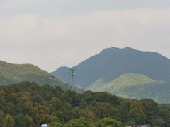 -龙坞茶村