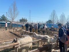 -瑞思少儿中心·少儿英语素养启蒙(勒泰直营校区)