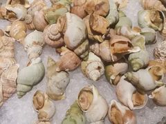 -长春净月潭喜来登酒店·盛宴标帜餐厅