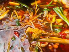 红烧鲫鱼蛋-钟云山鲜鱼蛋