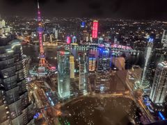 -上海柏悦酒店