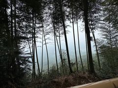 -蜀南竹海景区