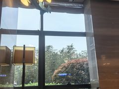 -美盛喜来登大酒店-盛宴标帜餐厅