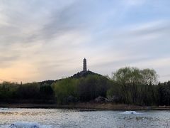 -北坞公园