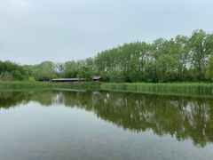 -溱湖国家湿地公园