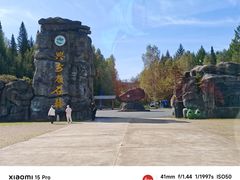 -汤旺河林海奇石景区