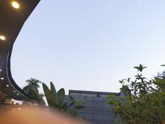 -马家斑.鲜鱼火锅(松湖万科店)
