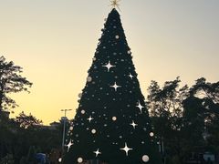 -中旅阿那亚九龙湖·公主酒店