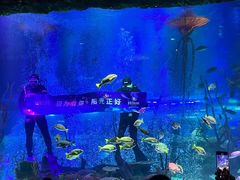 -沈阳海洋探索中心