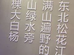 -和晟shèng铁锅炖·东北菜(南山店)