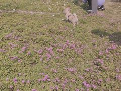 -府河摄影公园