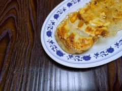 煎饺子-拉面莊夢語＆中华料理八椿
