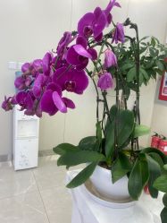 -圣嘉新医疗美容医院