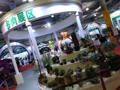 -东南花都花博园