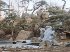 -罗红摄影艺术馆