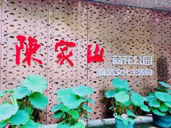 -陈家山荷花公园