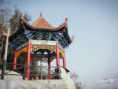 -东方帝景假日酒店