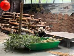 -东莞香市动物园