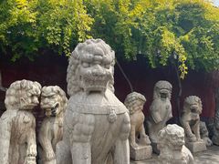 -正定古城-开元寺