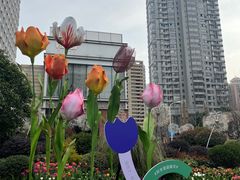-中海环宇荟